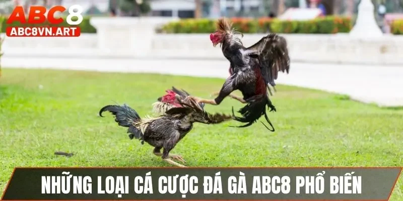 Những loại cá cược đá gà ABC8 phổ biến